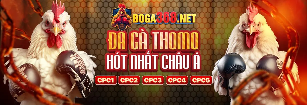 Quy trình giải quyết tranh chấp tại nhà cái J88